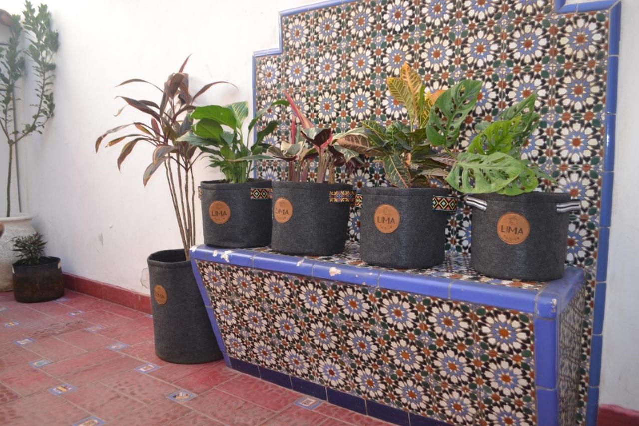 Casa Botánica Bed&Breakfast San Juan Exterior foto